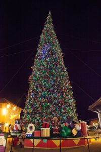 https://scottsdale.com/wp-content/uploads/2024/10/States-Tallest-Fresh-Cut-Christmas-Tree-Arrives-Nov.-4th-img1.jpg