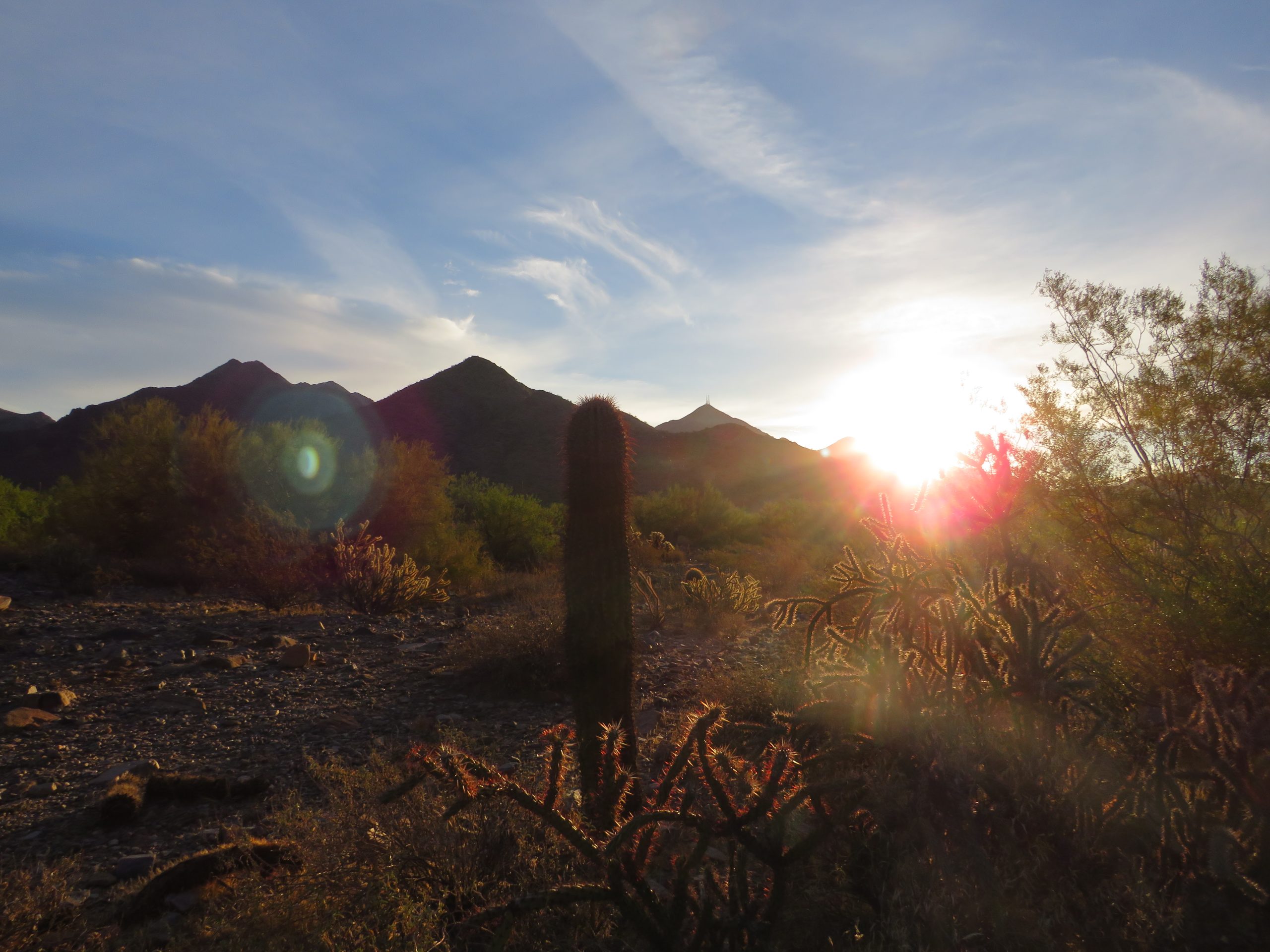 McDowell Sonoran Preserve