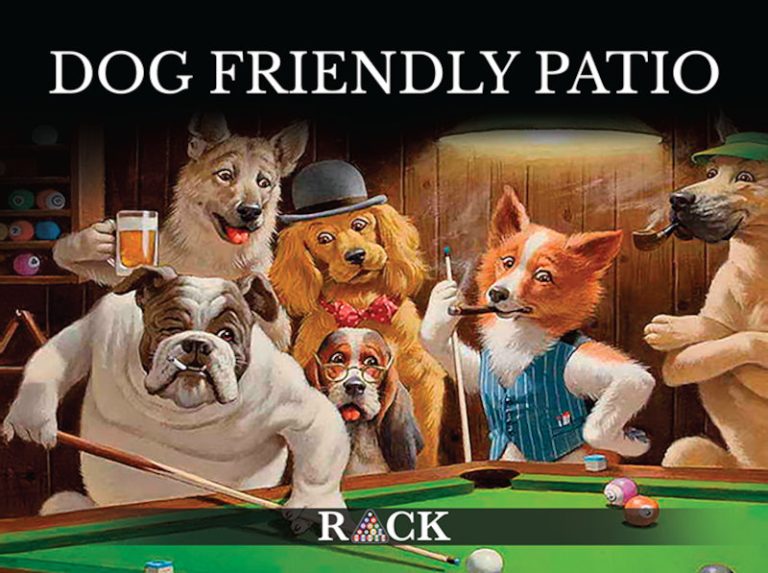 dog friendly section img 768x573