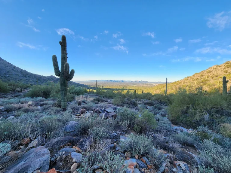 Gateway Loop Trail jpg 768x576