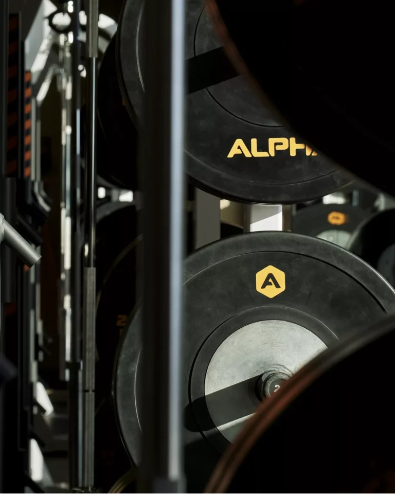 fso studio alpha weights 01 768x960