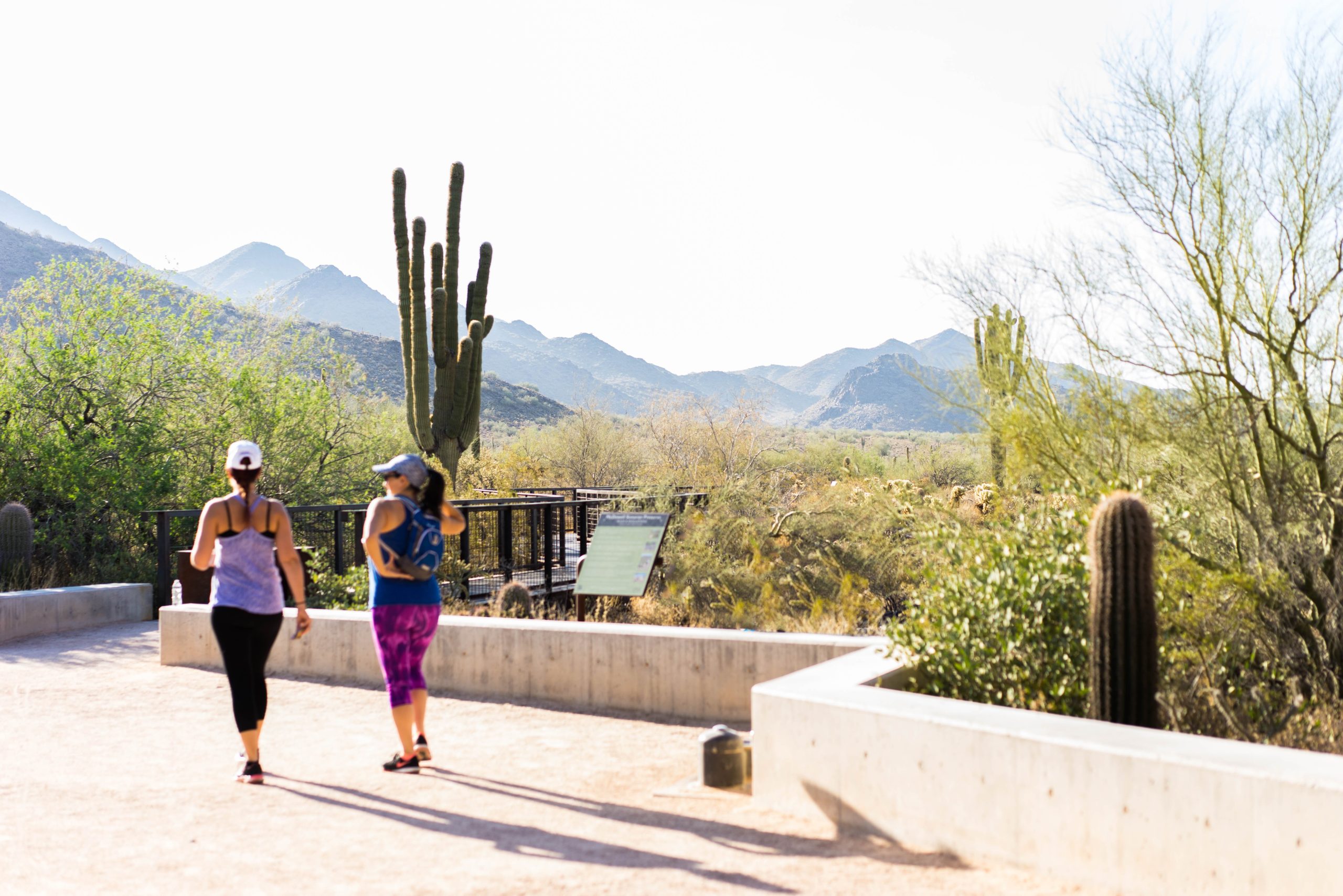 The Gateway Trailhead in Scottsdale's McDowell Sonoran Preserve. Photo by Scott McGinty for Experience Scottsdale